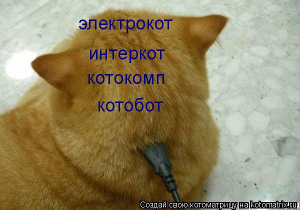электрокот интеркот котокомп котобот... Котоматрица: электрокот интеркот котокомп котобот