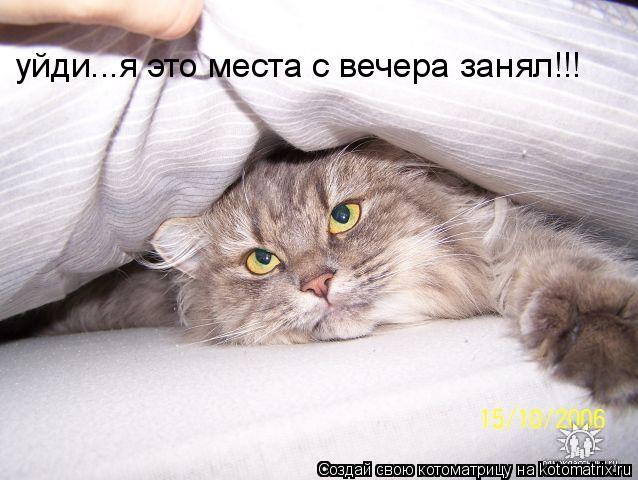уйди...я это места с вечера занял!!!... Котоматрица: уйди...я это места с вечера занял!!!
