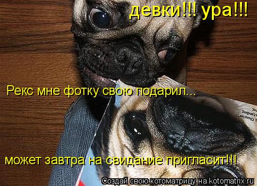 девки!!! ура!!! Рекс мне фотку свою подарил... может завтра на свидание пригласит!!!... Котоматрица: девки!!! ура!!! Рекс мне фотку свою подарил... может завтра на свидание пригласит!!!