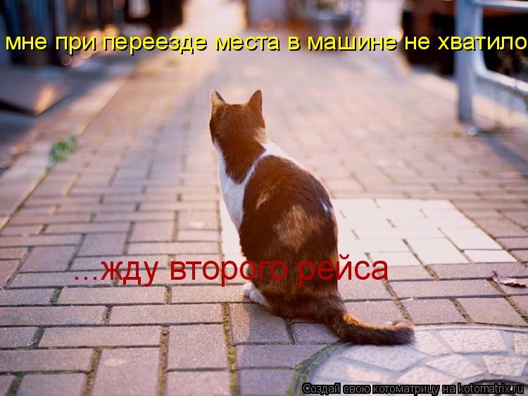мне при переезде места в машине не хватило... ...жду второго рейса... Котоматрица: мне при переезде места в машине не хватило... ...жду второго рейса