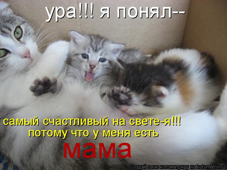 ура!!! я понял-- самый счастливый на свете-я!!! потому что у меня есть мама... Котоматрица: ура!!! я понял-- самый счастливый на свете-я!!! потому что у меня есть мама