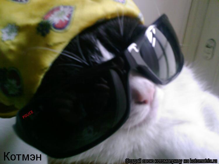 Котмэн POLICE... Котоматрица: Котмэн POLICE