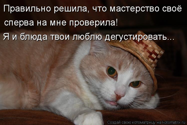 Правильно решила, что мастерство своё сперва на мне проверила! Я и блюда твои люблю дегустировать...... Котоматрица: Правильно решила, что мастерство своё сперва на мне проверила! Я и блюда твои люблю дегустировать...