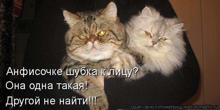Анфисочке шубка к лицу? Она одна такая! Другой не найти!!!... Котоматрица: Анфисочке шубка к лицу? Она одна такая! Другой не найти!!!
