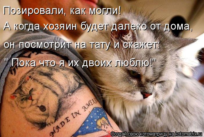 Позировали, как могли! А когда хозяин будет далеко от дома, он посмотрит на тату и скажет: " Пока что... Котоматрица: Позировали, как могли! А когда хозяин будет далеко от дома, он посмотрит на тату и скажет: " Пока что я их двоих люблю!"