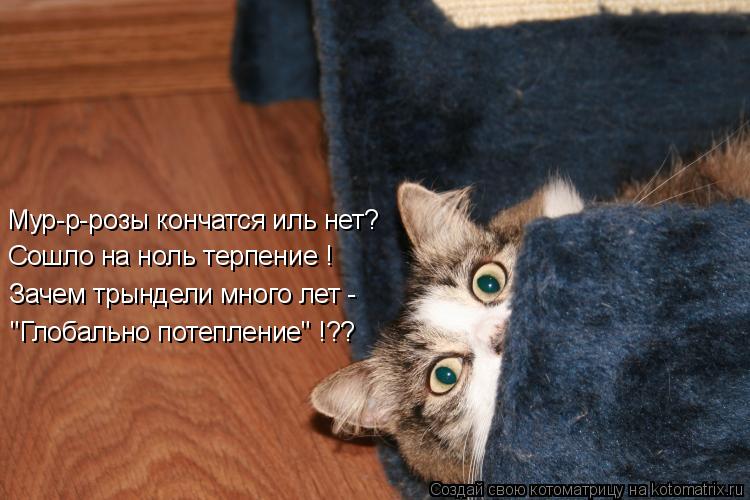 Мур-р-розы кончатся иль нет? Сошло на ноль терпение ! Зачем трындели много лет - "Глобально потеплени... Котоматрица: Мур-р-розы кончатся иль нет? Сошло на ноль терпение ! Зачем трындели много лет - "Глобально потепление" !??