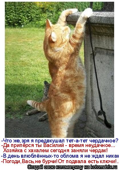 -Что же,зря я предвкушал тет-а-тет чердачное? -В день влюблённых-то облома я не ждал никак! Хозяйка с... Котоматрица: -Что же,зря я предвкушал тет-а-тет чердачное? -В день влюблённых-то облома я не ждал никак! Хозяйка с хахалем сегодня заняли чердак! -Да припёр