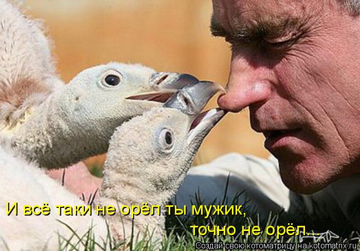 Котоматрица: И всё таки не орёл ты мужик,  точно не орёл...