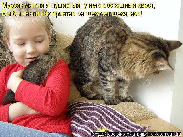 Мурзик мягкий и пушистый, у него роскошный хвост, Вы бы знали как приятно он щекочет щеки, нос!... Котоматрица: Мурзик мягкий и пушистый, у него роскошный хвост, Вы бы знали как приятно он щекочет щеки, нос!