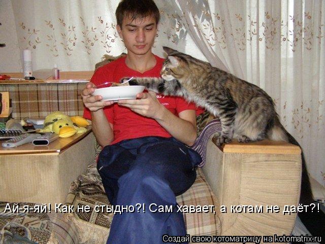 Ай-я-яй! Как не стыдно?! Сам хавает, а котам не даёт?!... Котоматрица: Ай-я-яй! Как не стыдно?! Сам хавает, а котам не даёт?!