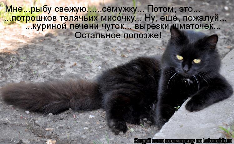 Мне...рыбу свежую......сёмужку... Потом, это... ...потрошков телячьих мисочку... Ну, ещё, пожалуй...... Котоматрица: Мне...рыбу свежую......сёмужку... Потом, это... ...потрошков телячьих мисочку... Ну, ещё, пожалуй... ...куриной печени чуток... вырезки шматочек...