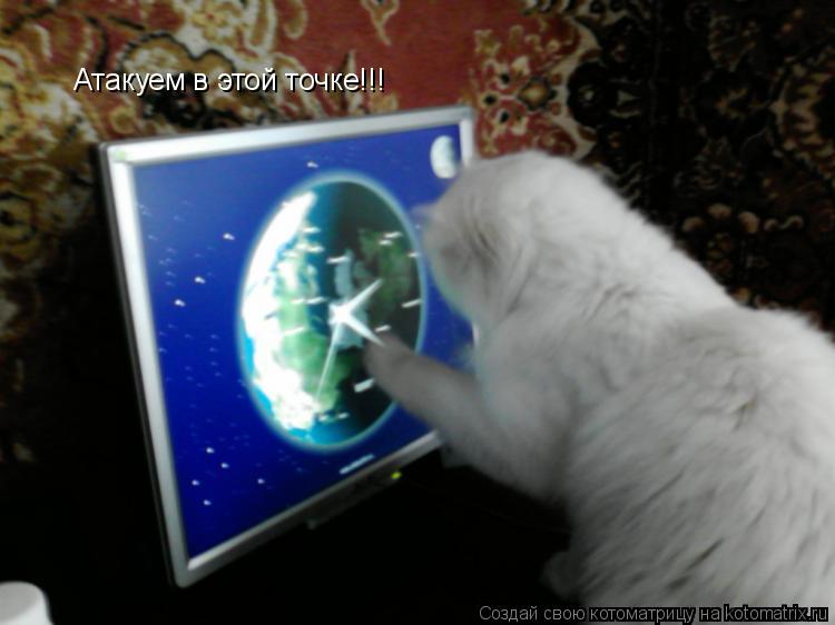 Атакуем в этой точке!!!... Котоматрица: Атакуем в этой точке!!!