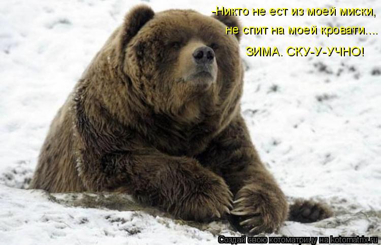 Котоматрица: -Никто не ест из моей миски, не спит на моей кровати.... ЗИМА. СКУ-У-УЧНО!