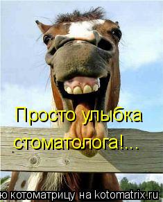 Просто улыбка стоматолога!...... Котоматрица: Просто улыбка стоматолога!...