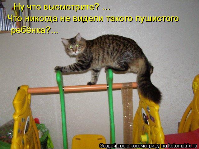 Ну что высмотрите? ... Что никогда не видели такого пушистого ребёнка?...... Котоматрица: Ну что высмотрите? ... Что никогда не видели такого пушистого ребёнка?...