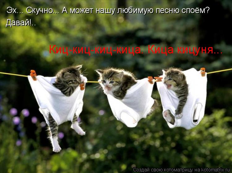 Эх... Скучно... А может нашу любимую песню споём? Давай!.. Киц-киц-киц-кица. Кица кицуня...... Котоматрица: Эх... Скучно... А может нашу любимую песню споём? Давай!.. Киц-киц-киц-кица. Кица кицуня...