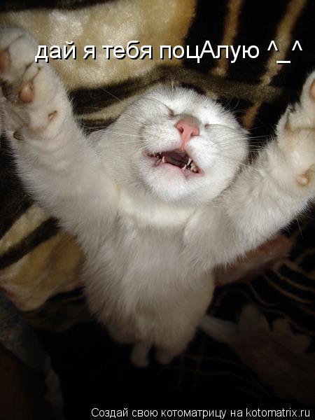 дай я тебя поцАлую ^_^... Котоматрица: дай я тебя поцАлую ^_^