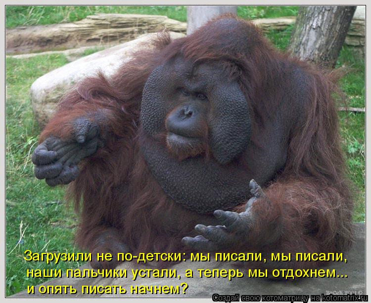 Загрузили не по-детски: мы писали, мы писали, наши пальчики устали, а теперь мы отдохнем... и опять п... Котоматрица: Загрузили не по-детски: мы писали, мы писали, наши пальчики устали, а теперь мы отдохнем... и опять писать начнем?