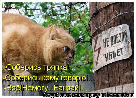 -Всё!Немогу...Банзай!... -Соберись кому говорю!... -Соберись тряпка!...... Котоматрица: -Всё!Немогу...Банзай!... -Соберись кому говорю!... -Соберись тряпка!...