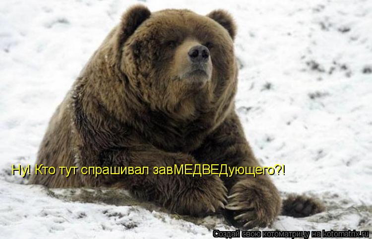 Ну! Кто тут спрашивал завМЕДВЕДующего?!... Котоматрица: Ну! Кто тут спрашивал завМЕДВЕДующего?!