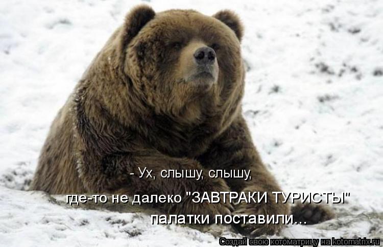 где-то не далеко "ЗАВТРАКИ ТУРИСТЫ" - Ух, слышу, слышу, палатки поставили...... Котоматрица: где-то не далеко "ЗАВТРАКИ ТУРИСТЫ" - Ух, слышу, слышу, палатки поставили...