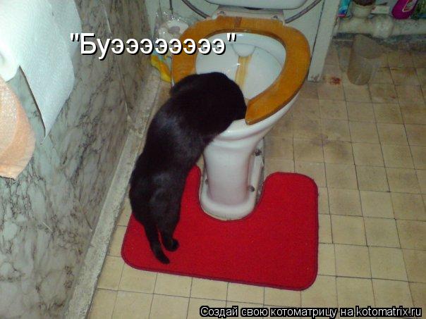 "Буээээээээ"... Котоматрица: "Буээээээээ"