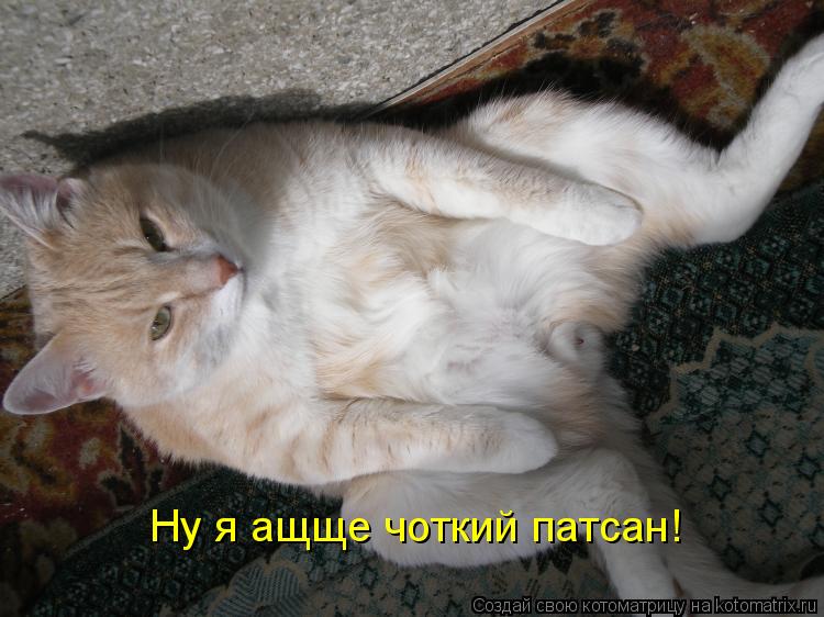 Ну я ащще чоткий патсан!... Котоматрица: Ну я ащще чоткий патсан!