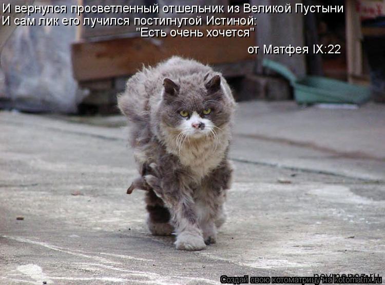 И вернулся просветленный отшельник из Великой Пустыни И сам лик его лучился постигнутой Истиной: "Ест... Котоматрица: И вернулся просветленный отшельник из Великой Пустыни И сам лик его лучился постигнутой Истиной: "Есть очень хочется" от Матфея IX:22