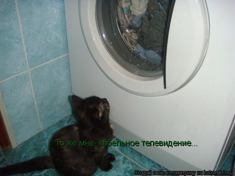 То же мне, кабельное телевидение...... Котоматрица: То же мне, кабельное телевидение...