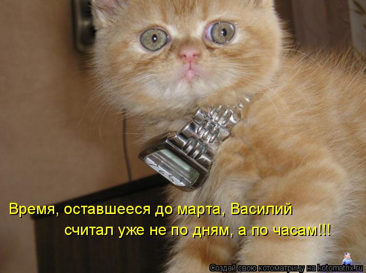 Время, оставшееся до марта, Василий считал уже не по дням, а по часам!!!... Котоматрица: Время, оставшееся до марта, Василий считал уже не по дням, а по часам!!!