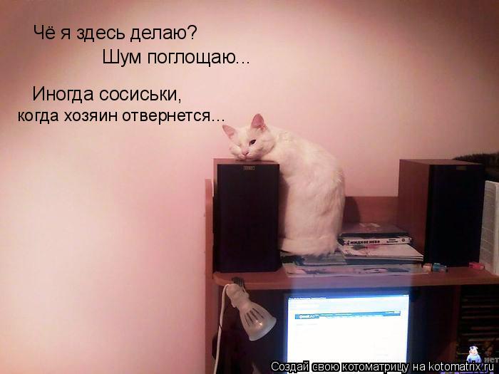 Чё я здесь делаю? Шум поглощаю... Иногда сосиськи, когда хозяин отвернется...... Котоматрица: Чё я здесь делаю? Шум поглощаю... Иногда сосиськи, когда хозяин отвернется...