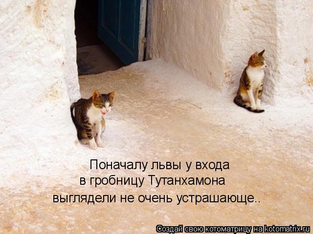 Поначалу львы у входа в гробницу Тутанхамона выглядели не очень устрашающе..... Котоматрица: Поначалу львы у входа в гробницу Тутанхамона выглядели не очень устрашающе..