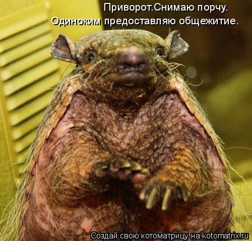 Приворот.Снимаю порчу. Одиноким предоставляю общежитие.... Котоматрица: Приворот.Снимаю порчу. Одиноким предоставляю общежитие.