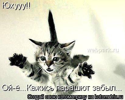 Юхууу!! Ой-ё...Кажись парашют забыл...... Котоматрица: Юхууу!! Ой-ё...Кажись парашют забыл...