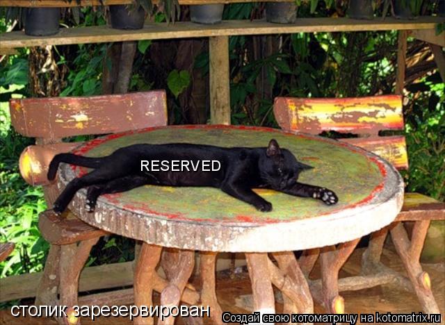 RESERVED столик зарезервирован... Котоматрица: RESERVED столик зарезервирован