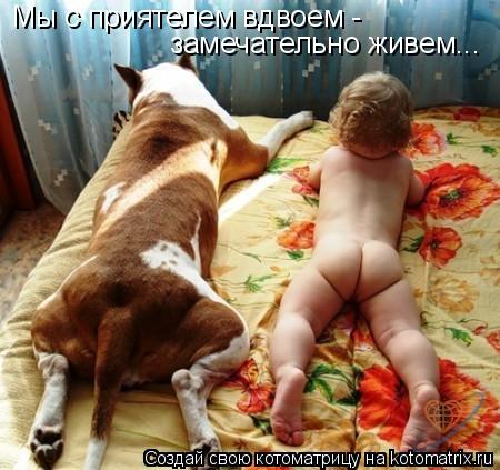 Мы с приятелем вдвоем - замечательно живем...... Котоматрица: Мы с приятелем вдвоем - замечательно живем...