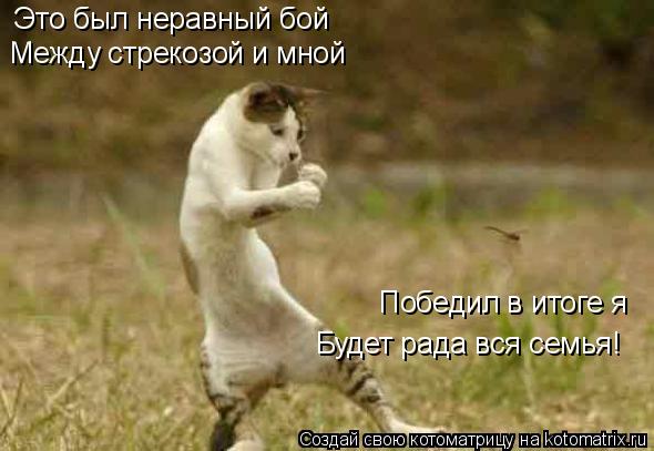 Это был неравный бой Между стрекозой и мной Победил в итоге я Будет рада вся семья!... Котоматрица: Это был неравный бой Между стрекозой и мной Победил в итоге я Будет рада вся семья!