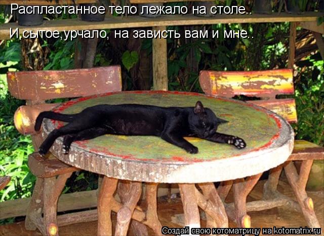 Распластанное тело лежало на столе.. И,сытое,урчало, на зависть вам и мне..... Котоматрица: Распластанное тело лежало на столе.. И,сытое,урчало, на зависть вам и мне..