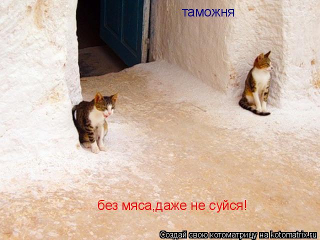 таможня без мяса,даже не суйся!... Котоматрица: таможня без мяса,даже не суйся!