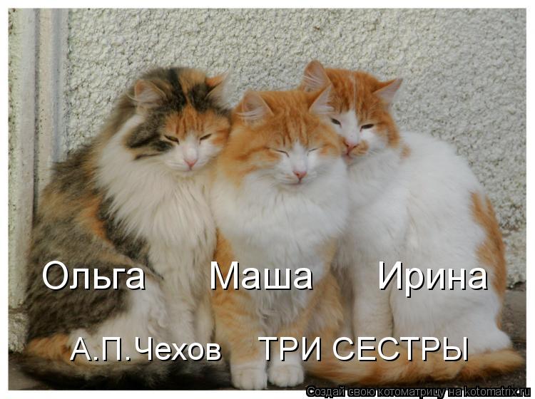 Ольга Маша Ирина А.П.Чехов ТРИ СЕСТРЫ... Котоматрица: Ольга Маша Ирина А.П.Чехов ТРИ СЕСТРЫ