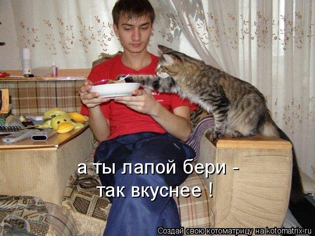 а ты лапой бери - так вкуснее !... Котоматрица: а ты лапой бери - так вкуснее !