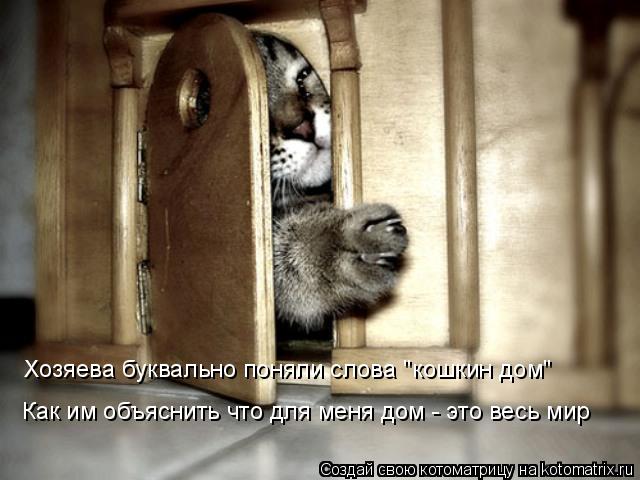 Хозяева буквально поняли слова "кошкин дом" Как им объяснить что для меня дом - это весь мир... Котоматрица: Хозяева буквально поняли слова "кошкин дом" Как им объяснить что для меня дом - это весь мир