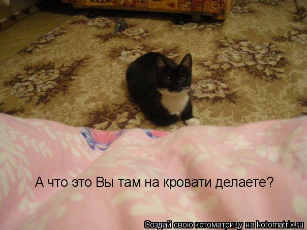 А что это Вы там на кровати делаете?... Котоматрица: А что это Вы там на кровати делаете?
