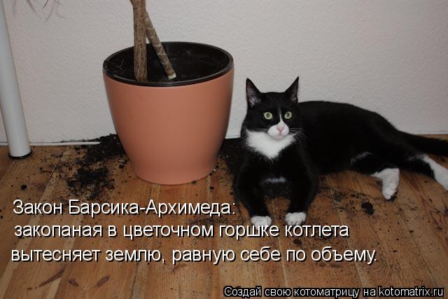 Закон Барсика-Архимеда: закопаная в цветочном горшке котлета вытесняет землю, равную себе по объему.... Котоматрица: Закон Барсика-Архимеда: закопаная в цветочном горшке котлета вытесняет землю, равную себе по объему.