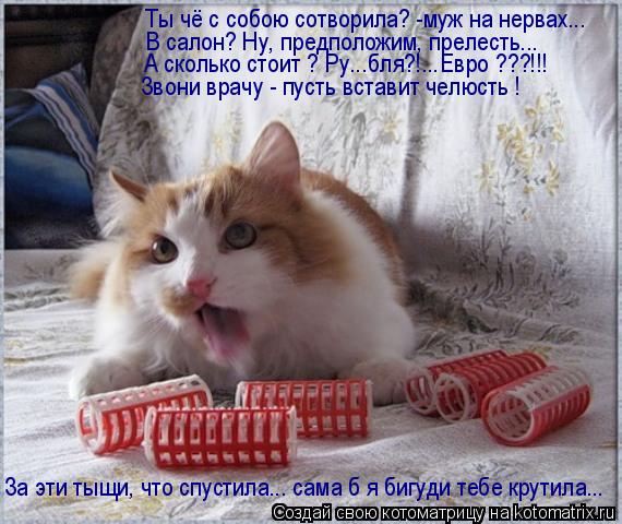 Ты чё с собою сотворила? -муж на нервах... А сколько стоит ? Ру...бля?!...Евро ???!!! Звони врачу - п... Котоматрица: Ты чё с собою сотворила? -муж на нервах... А сколько стоит ? Ру...бля?!...Евро ???!!! Звони врачу - пусть вставит челюсть ! За эти тыщи, что спустила.