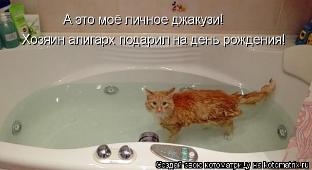 А это моё личное джакузи! Хозяин алигарх подарил на день рождения!... Котоматрица: А это моё личное джакузи! Хозяин алигарх подарил на день рождения!