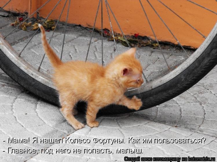 - Мама! Я нашел Колесо Фортуны. Как им пользоваться? - Главное, под него не попасть, малыш.... Котоматрица: - Мама! Я нашел Колесо Фортуны. Как им пользоваться? - Главное, под него не попасть, малыш.