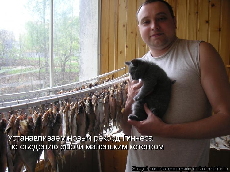 Устанавливаем новый рекорд Гиннеса по съедению рыбки маленьким котенком... Котоматрица: Устанавливаем новый рекорд Гиннеса по съедению рыбки маленьким котенком