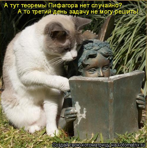 А тут теоремы Пифагора нет случайно? А то третий день задачу не могу решить! А то третий день задачу ... Котоматрица: А тут теоремы Пифагора нет случайно? А то третий день задачу не могу решить! А то третий день задачу не могу решить! А тут теоремы Пифагора не