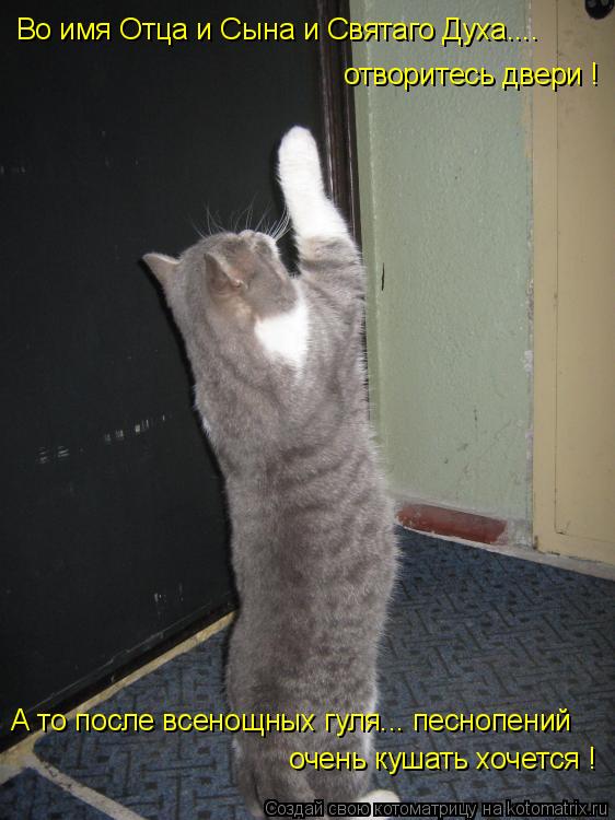 Котоматрица: Во имя Отца и Сына и Святаго Духа.... отворитесь двери ! А то после всенощных гуля... песнопений очень кушать хочется !